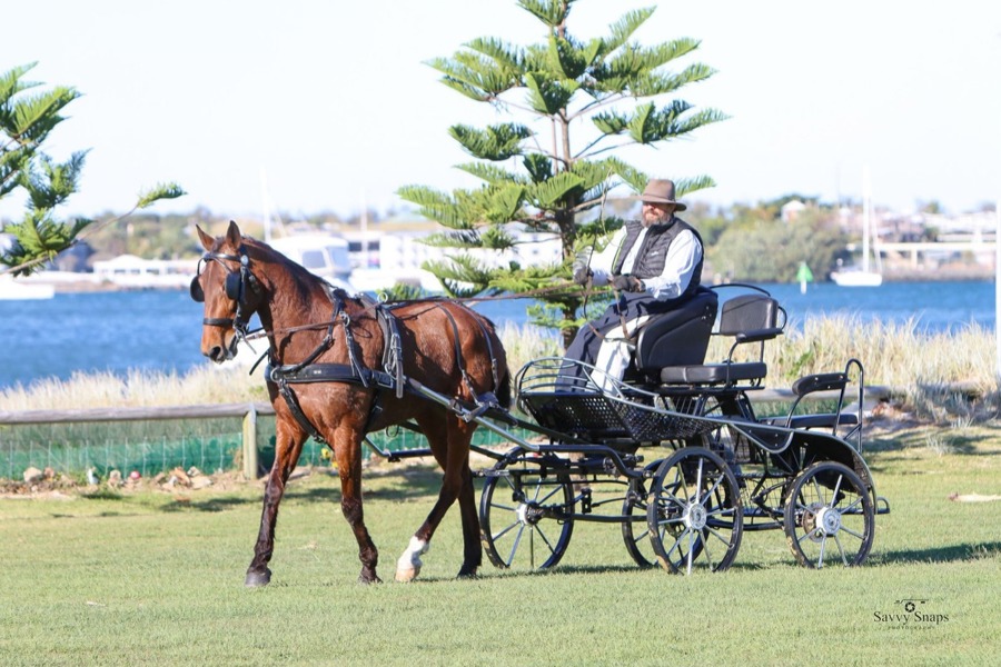 Tragedy spurring Bob O’Connor to get the most out of retired pacer