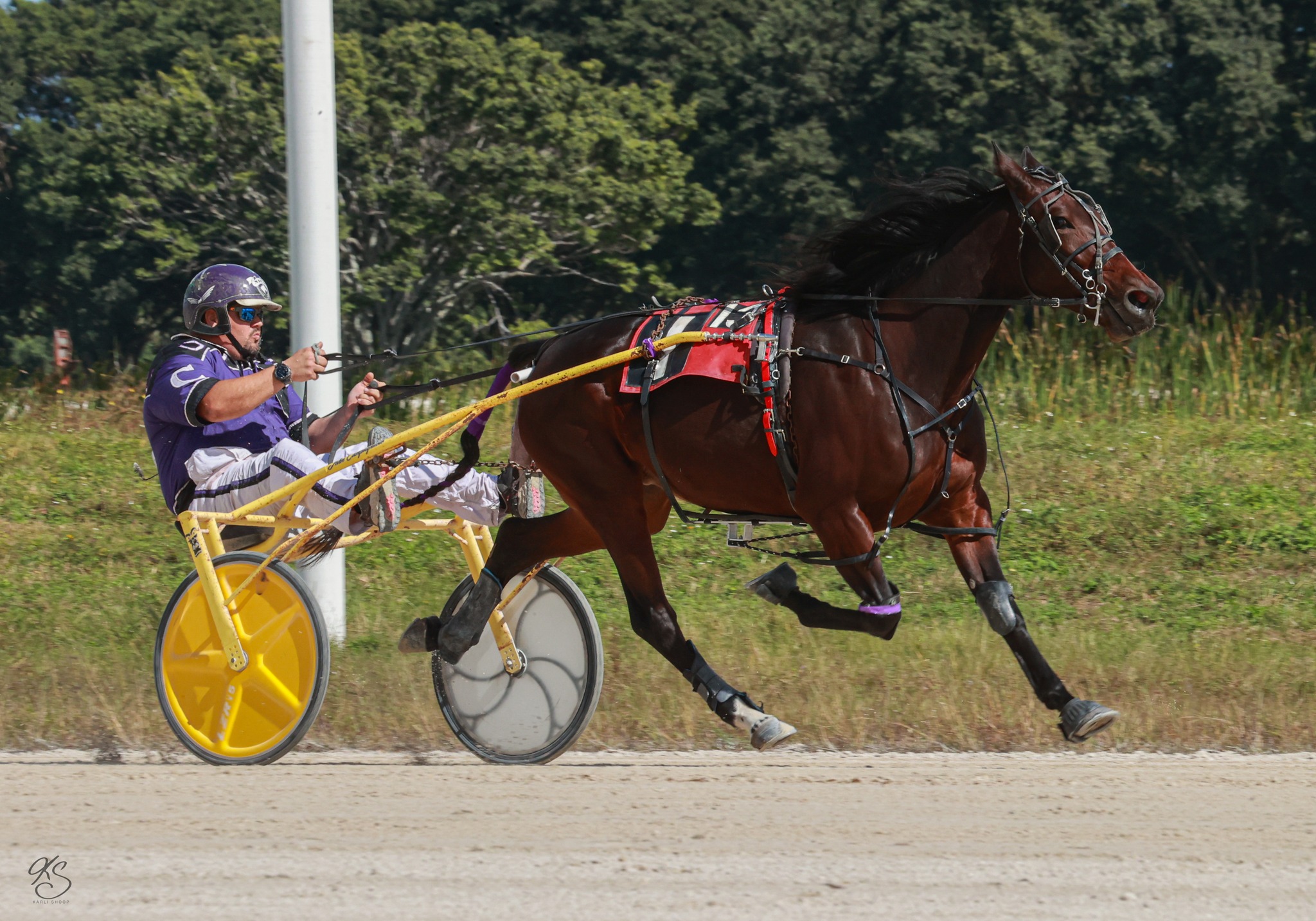 Florida Breeders Stake wraps-up 2025 race meet