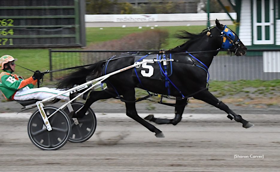 Barrieau and Twin B Tuffenuff take aim at third straight