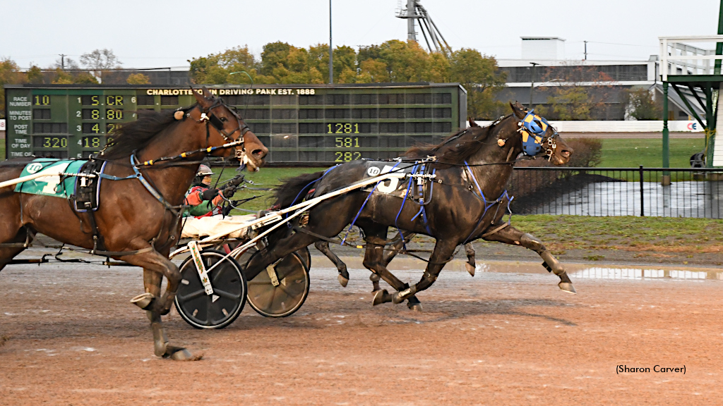 Twin B Tuffenuff fires home for third straight preferred win