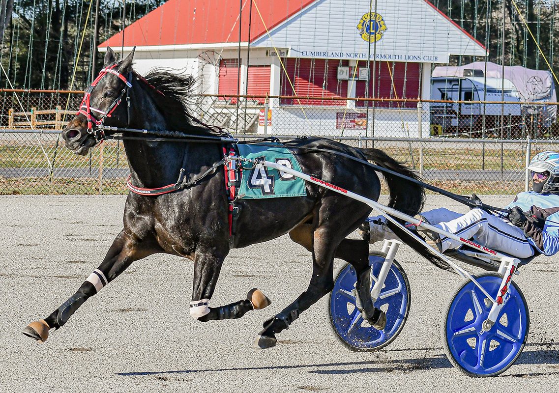 Can Big Al M overcome a bad draw?