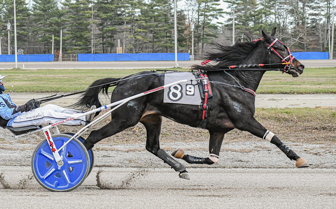 Big Al M shrugs off eight-hole for tenth win of the season