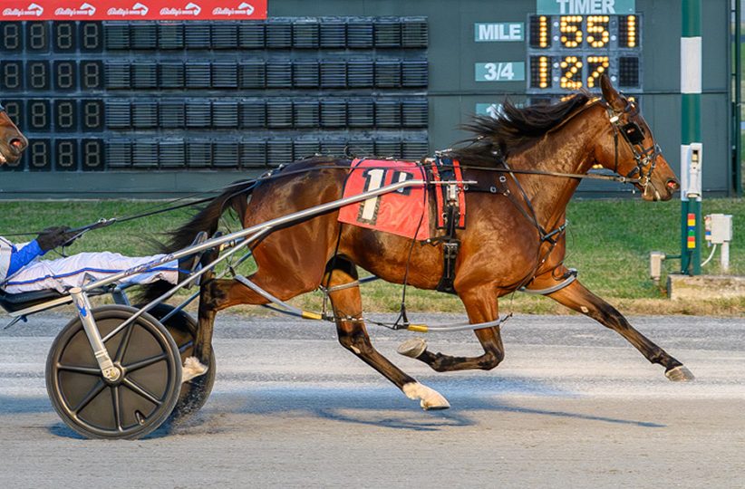 Warrens Charm coasts to DSBF prelim win