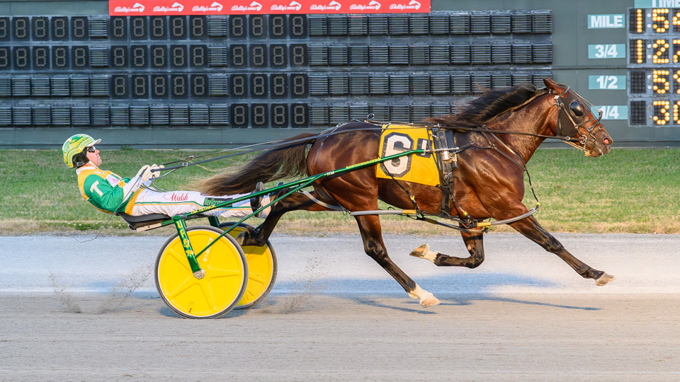 Watch Em Win obliterates rivals again in DSBF second round