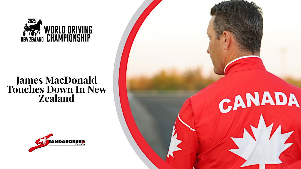 MacDonald touches down in New Zealand