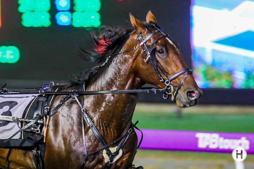 Jack Callaghan gets his WA Group One in Golden Nugget