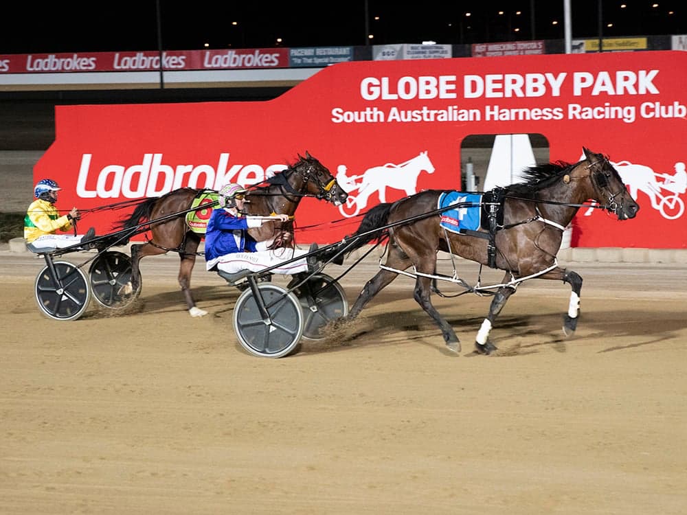 South Aussie breeders celebrate double success