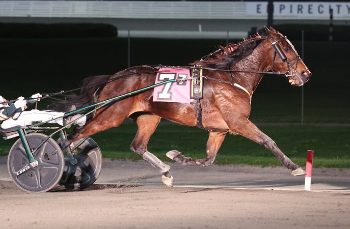 Elite line ups for Grand Prix Trotting Series
