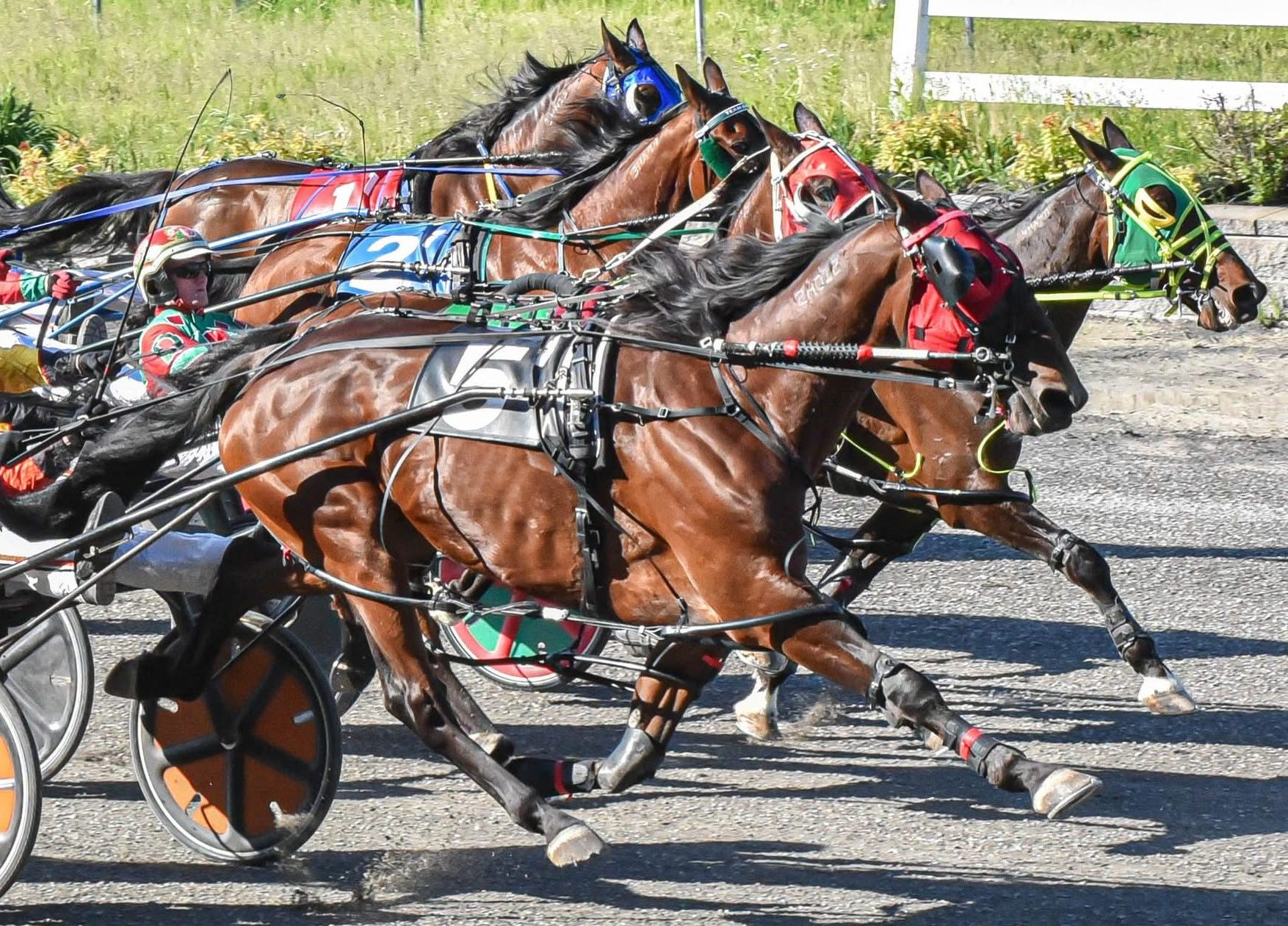 Final card of the season goes to post Saturday