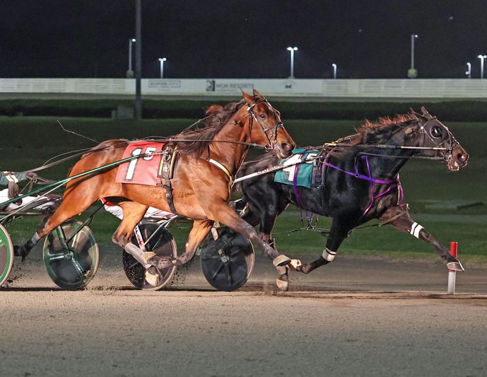 Sir Pinocchio fastest of $50,000 Grand Prix Trotting division winners
