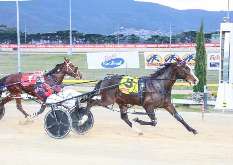 Lather Up colt leads Nutrien graduates in Dandy Patch trifecta