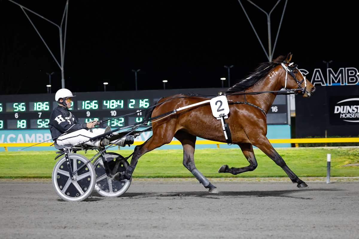 Regal Girl sells at auction on Wednesday