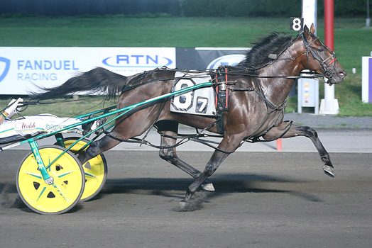 Pollack targets Progress Pace with latest acquisitions