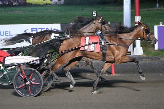 87-1 Twin B Seven Sins shocks in $125,000 Kindergarten Final