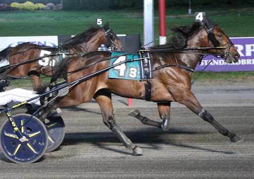 Boyd hopes for more success with NJSDF trio