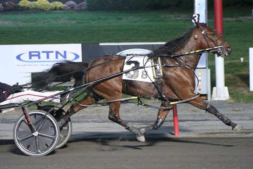 Simply Perfect shrugs off tough track to score in lifetime best