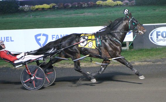 Seven Colors lights up Big M