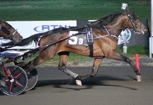 Dexter guides Lindy Living to first win in NJDF Split