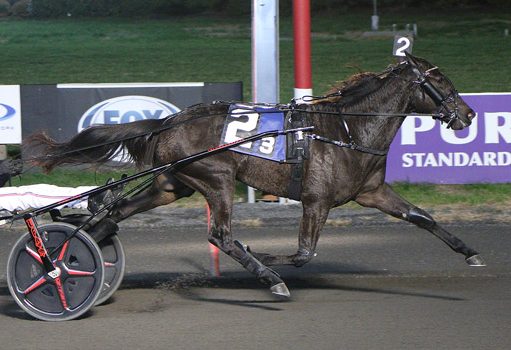 Custom cruises, Jim Beam stings late in NJSDF Finals