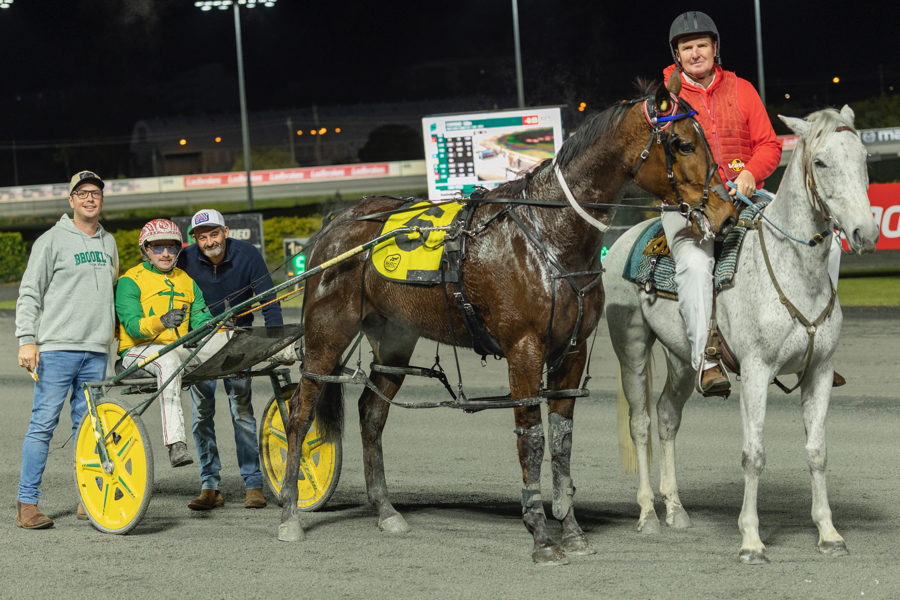 Former Kiwi ditches the tools for the sulky