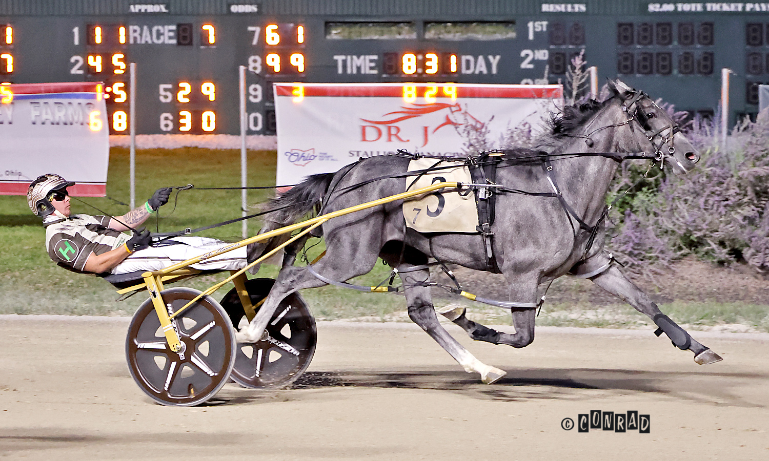 She’safirewoman named Ohio 2-Year-Old Pacing Filly of the Year