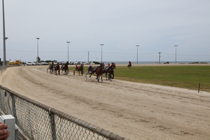 Harness racing returns to Burnie