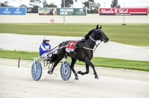 Vicbred Silver trotting winner is just fine