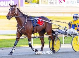 My Watchlist returns from 5 month break to win