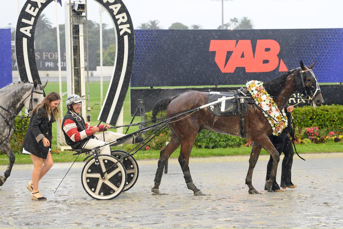 Hillbilly Blues hits the charts