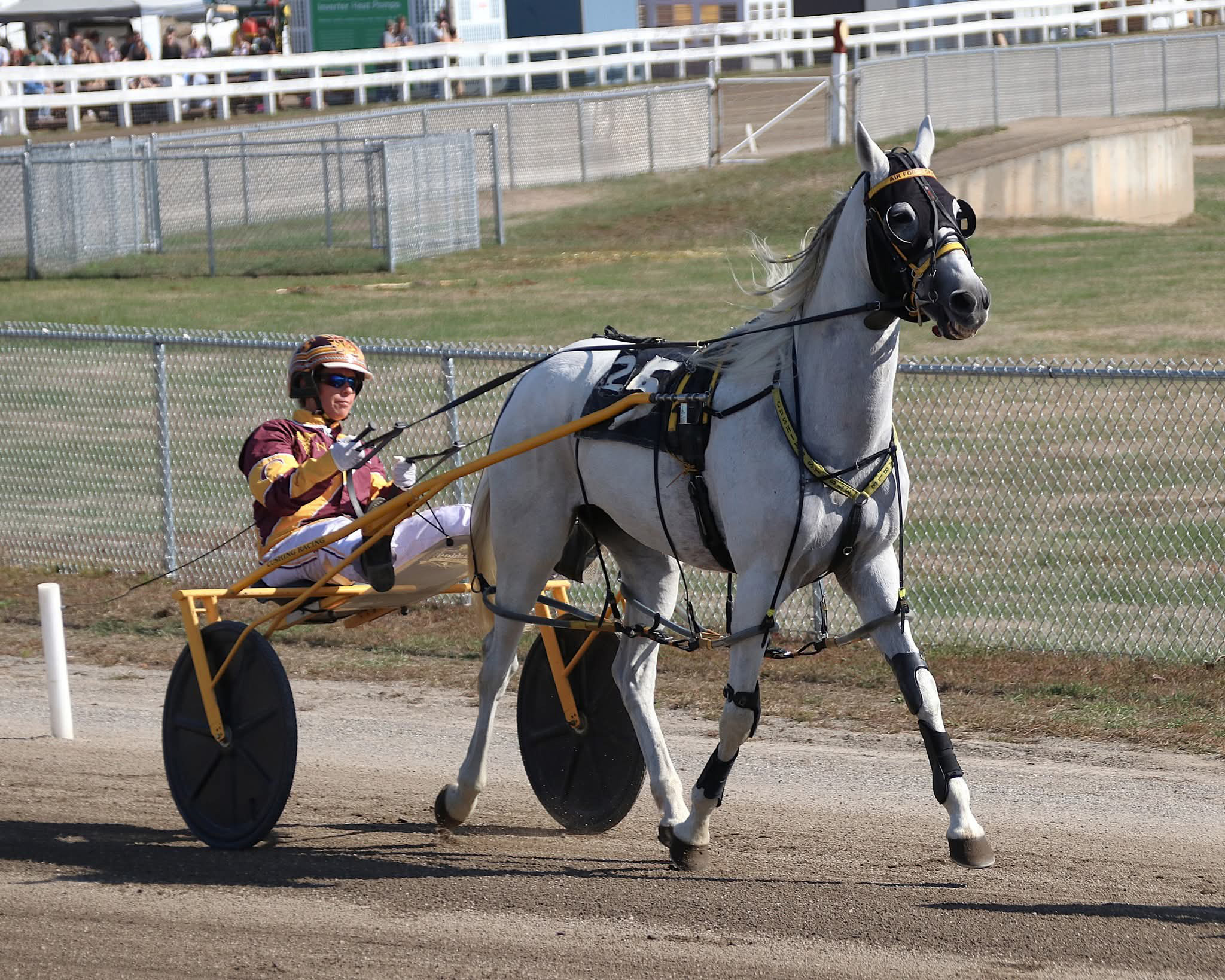 Cumberland honors 12 veteran standardbreds