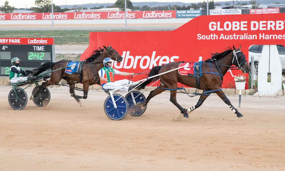Southern Cross 3YO Finals go to Brighton and Always Dancing