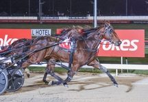 Arrhythmia gets APG, Breeders Crown double