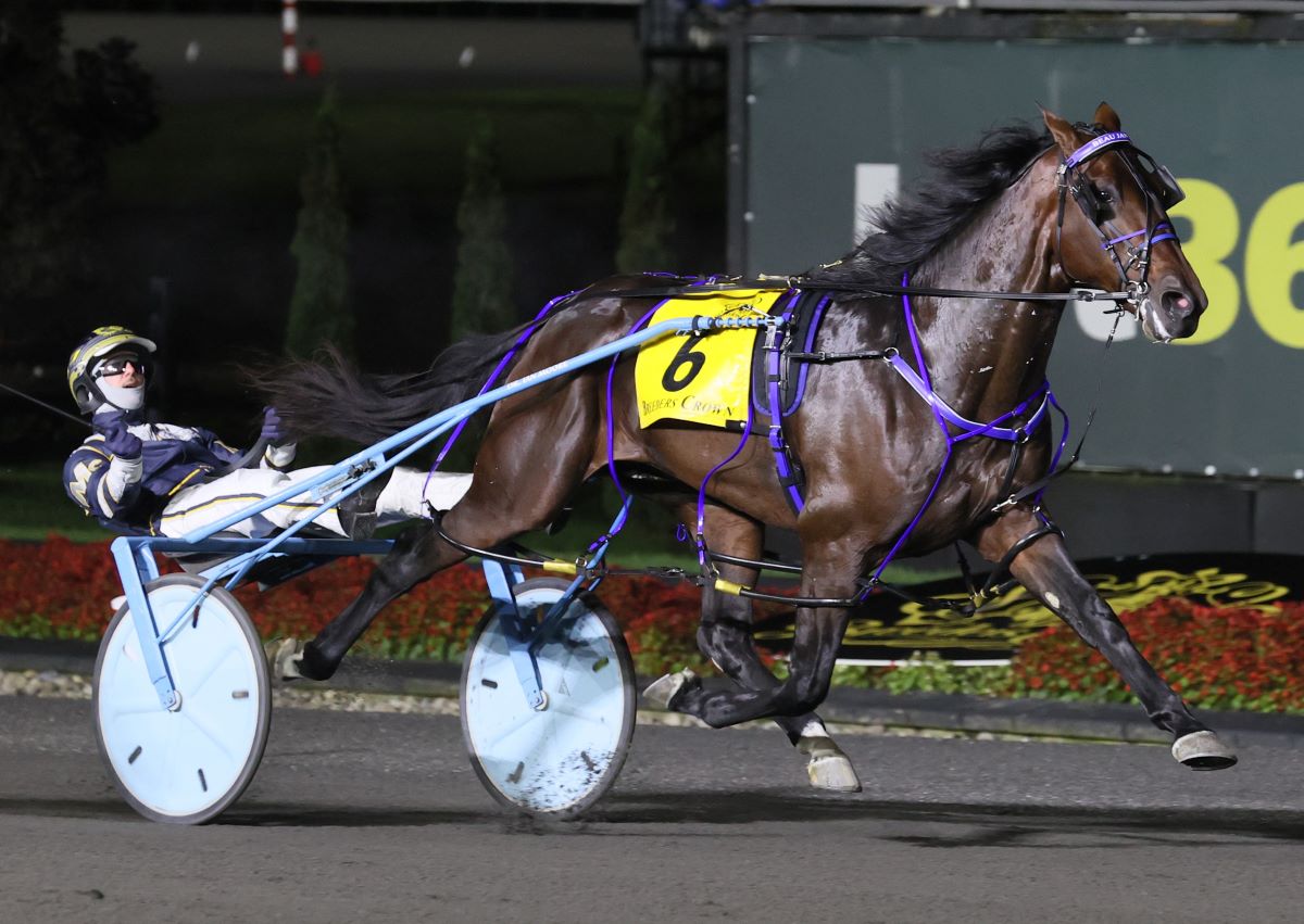 Beau Jangles, winner of the Somebeachsomewhere Horse of the Year Award and Two-Year-Old Pacing Colt Award at the 2025 O'Brien Awards