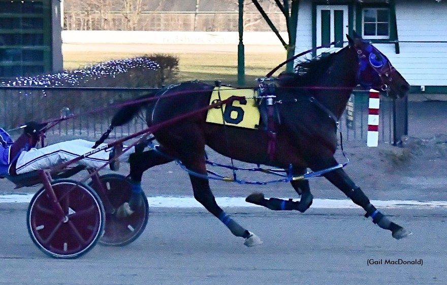 Bee Two Bee keeps win streak alive