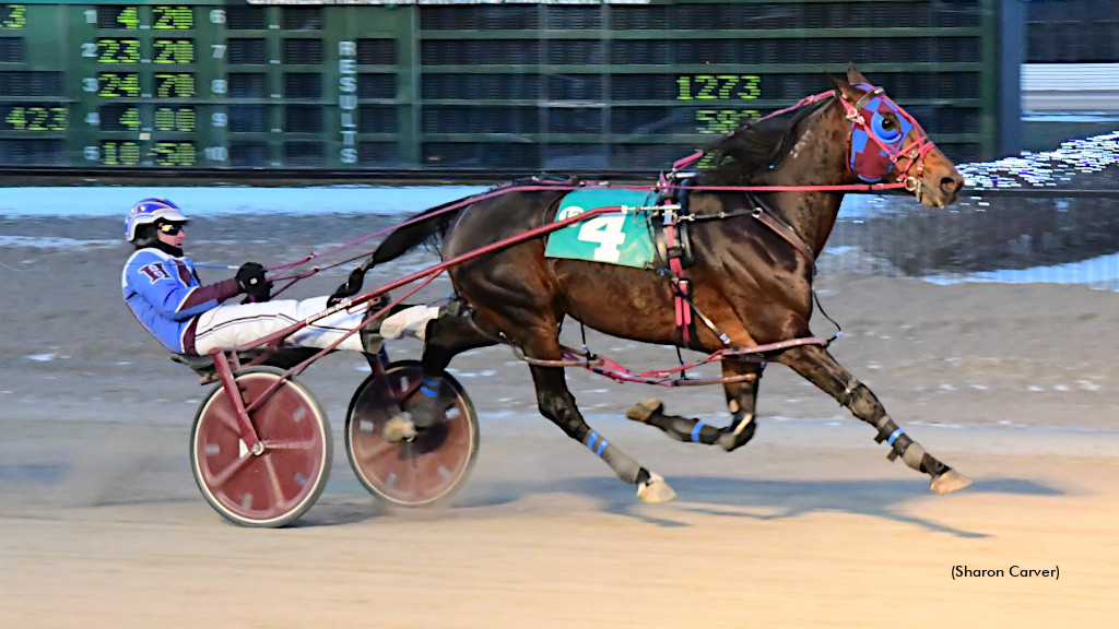 Bee Two Bee goes for his sixth straight