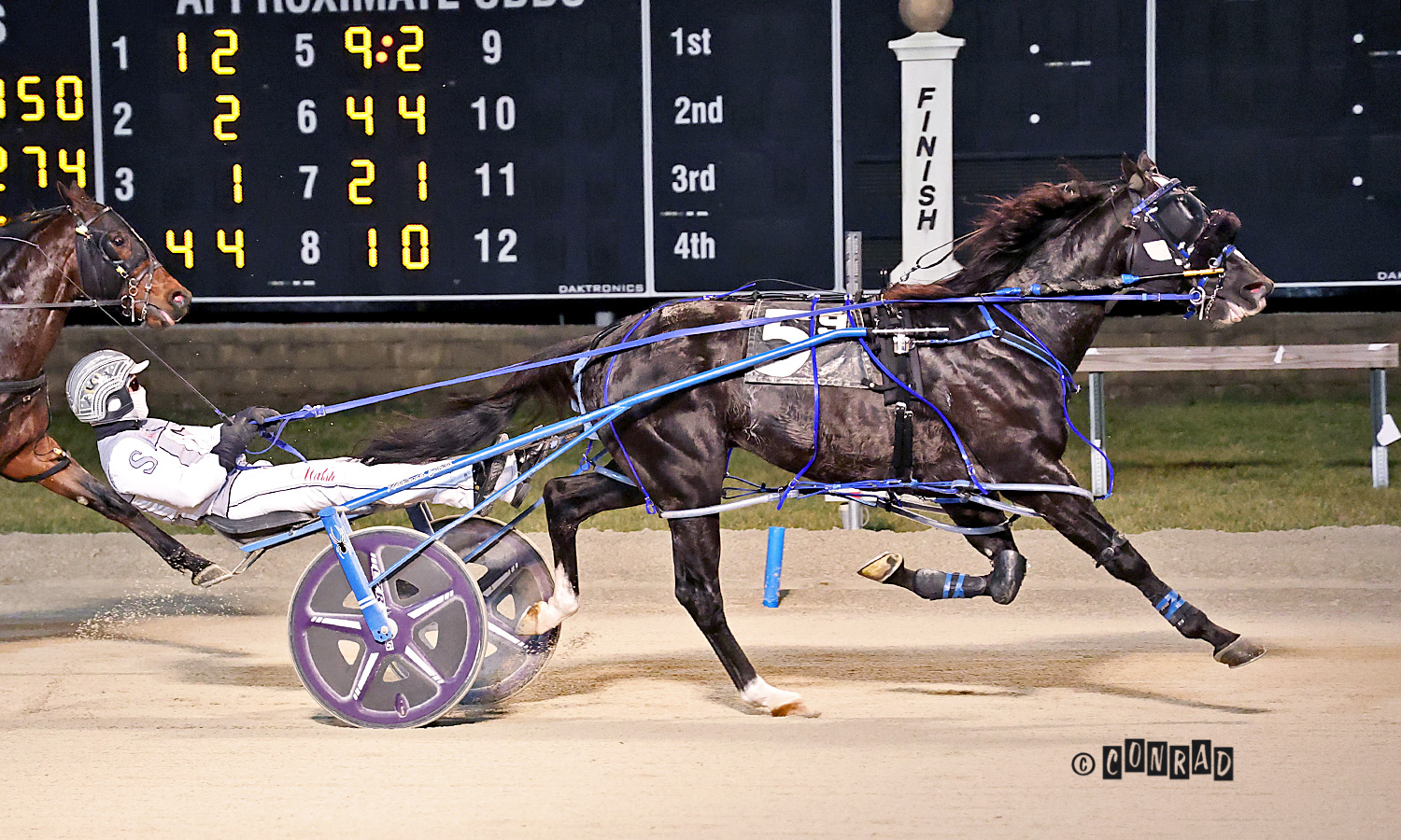 Bettor Is Nice controls the pace