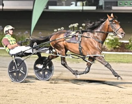 Captains Knock breaks track record in Newcastle Cup