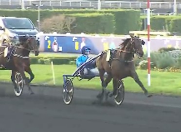 Chitchat wins Prix de Craon