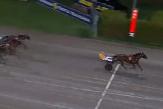Clarissa takes STL Gold at Solvalla