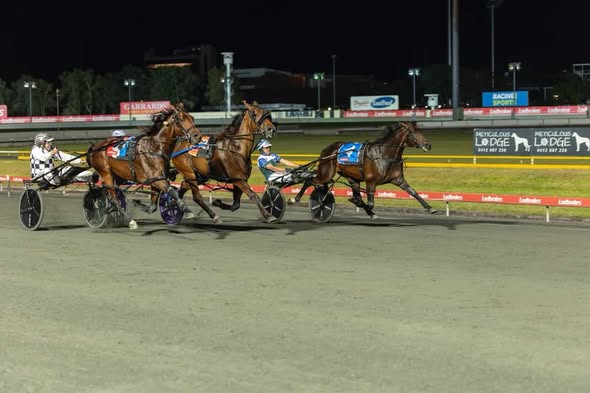 Don Hugo edges out Leap To Fame in last stride in Blacks A Fake