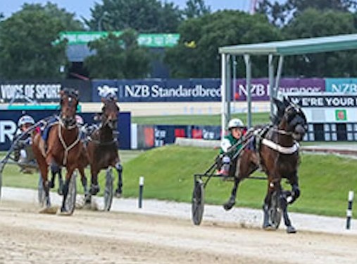 Donna’s Boy marches toward Harness 5000