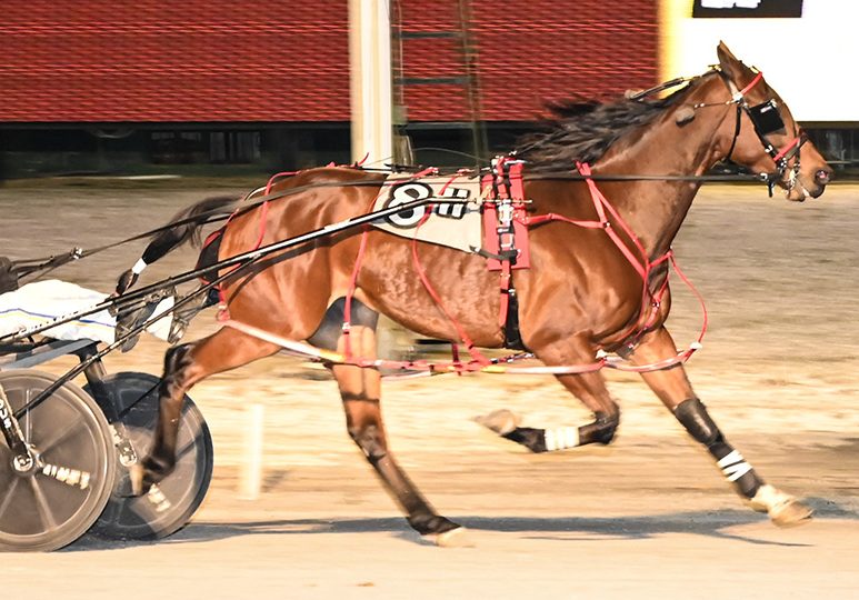 Spring Blake powers past tough trip to win