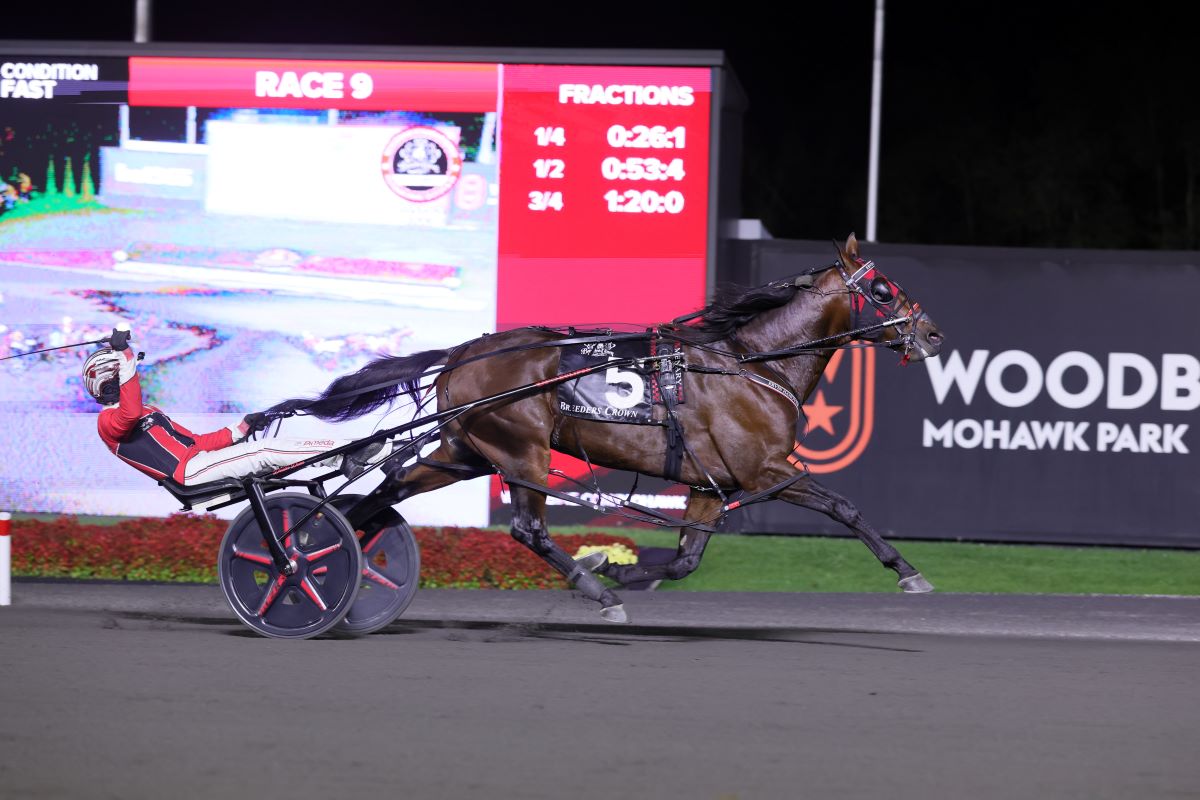Ervin Hanover heads Pollack’s stakes sextet
