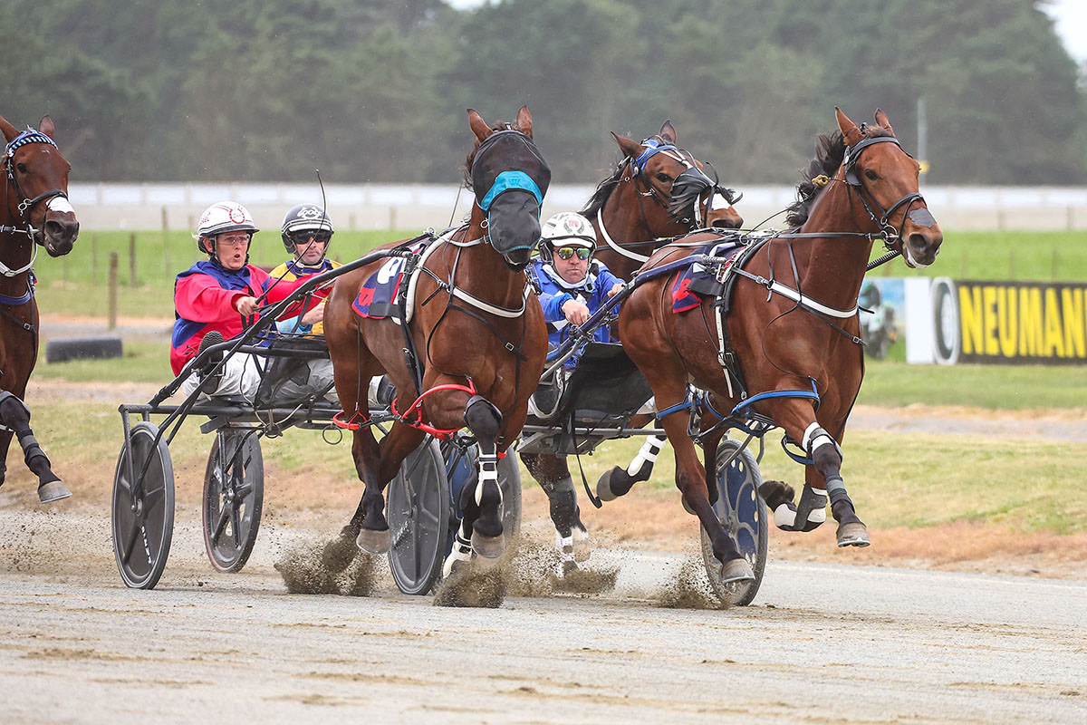 Francent – West Coast Princess