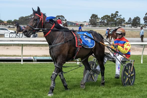 Jamie Egan’s success a story of patience and family devotion