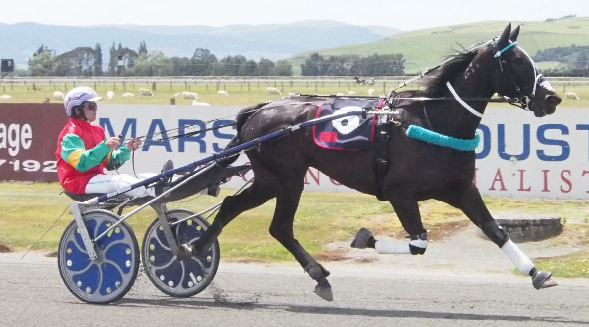 Father Ned wins on the holy day