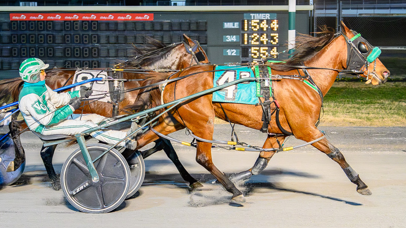 Git Goin sweeps DSBF Prelims