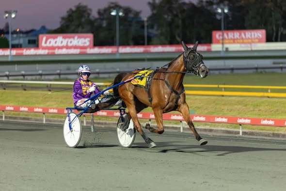 Get Used To It in deserved win at Albion Park