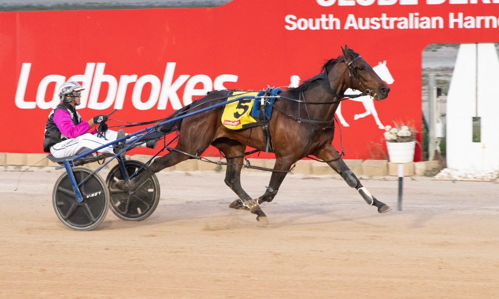 Hez So Royal, Hilltop Blossom claim 2YO Finals