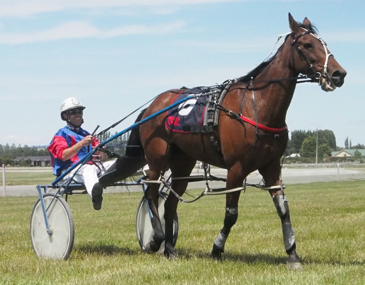 Eight year old mare wins her first race